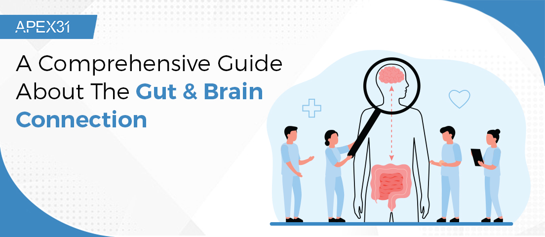 A Comprehensive Guide About The Gut & Brain Connection