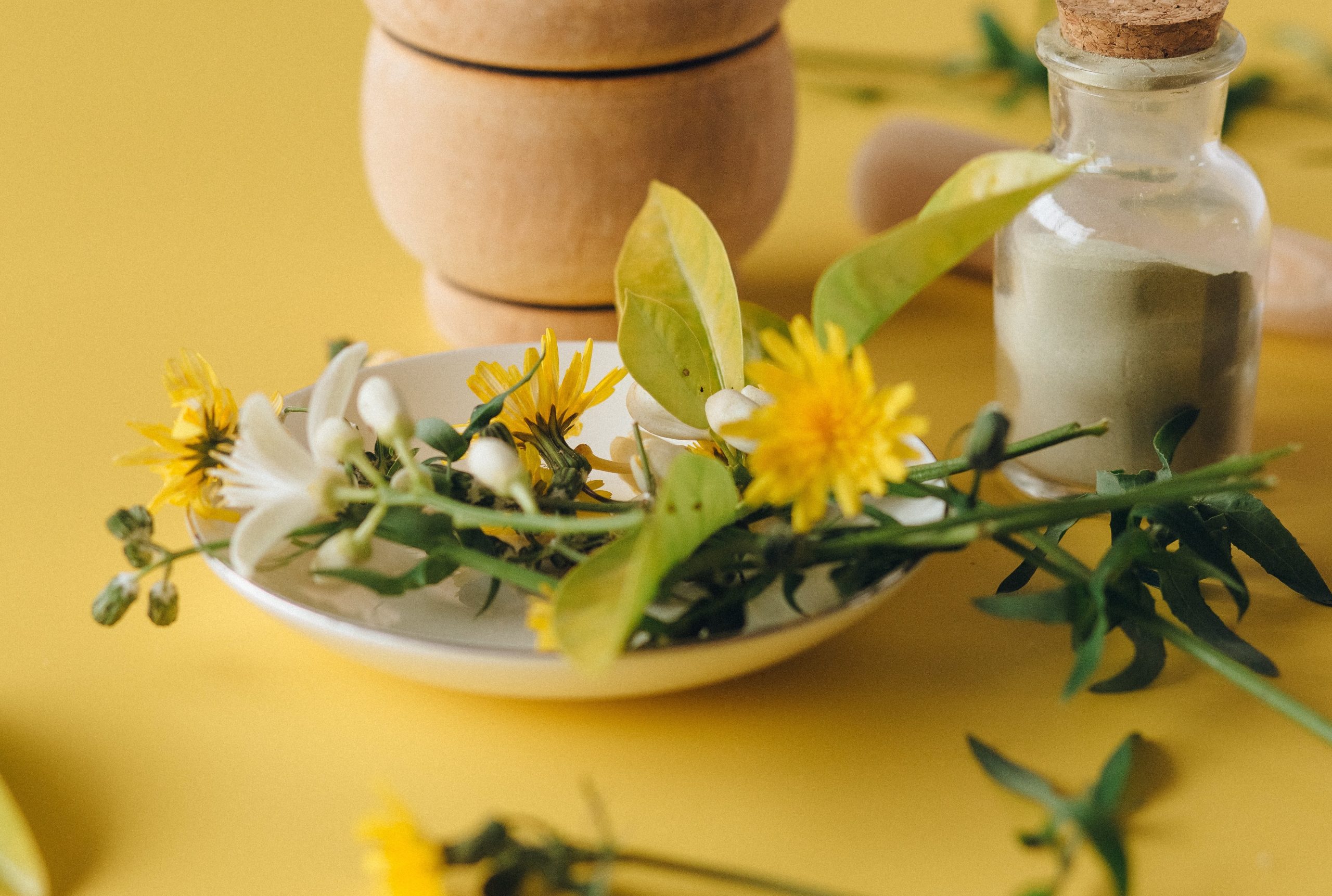 apex31 the homeopathic approach to weight loss & wellness