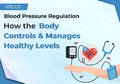 Blood Pressure Regulation