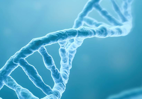 cell toxicity unveiled