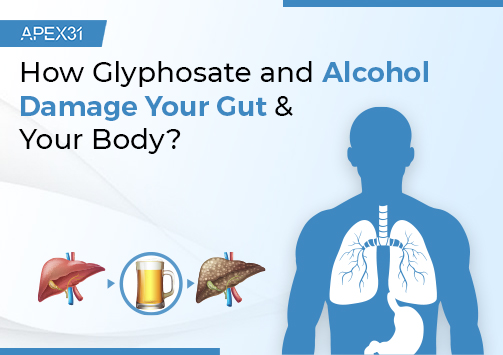 Glyphosate And Alcohol Damage Your Gut & Your Body?