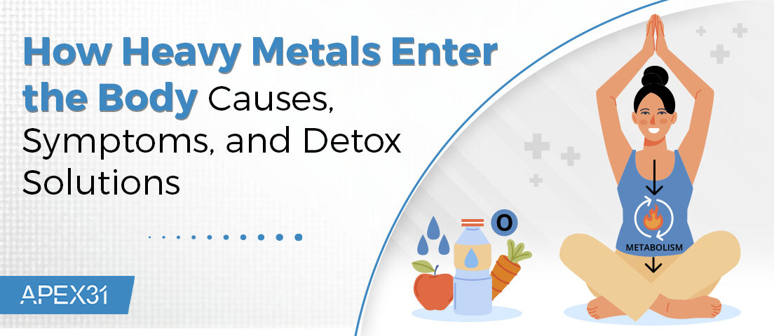 How Heavy Metals Enter the Body: Causes, Symptoms, and Detox Solutions