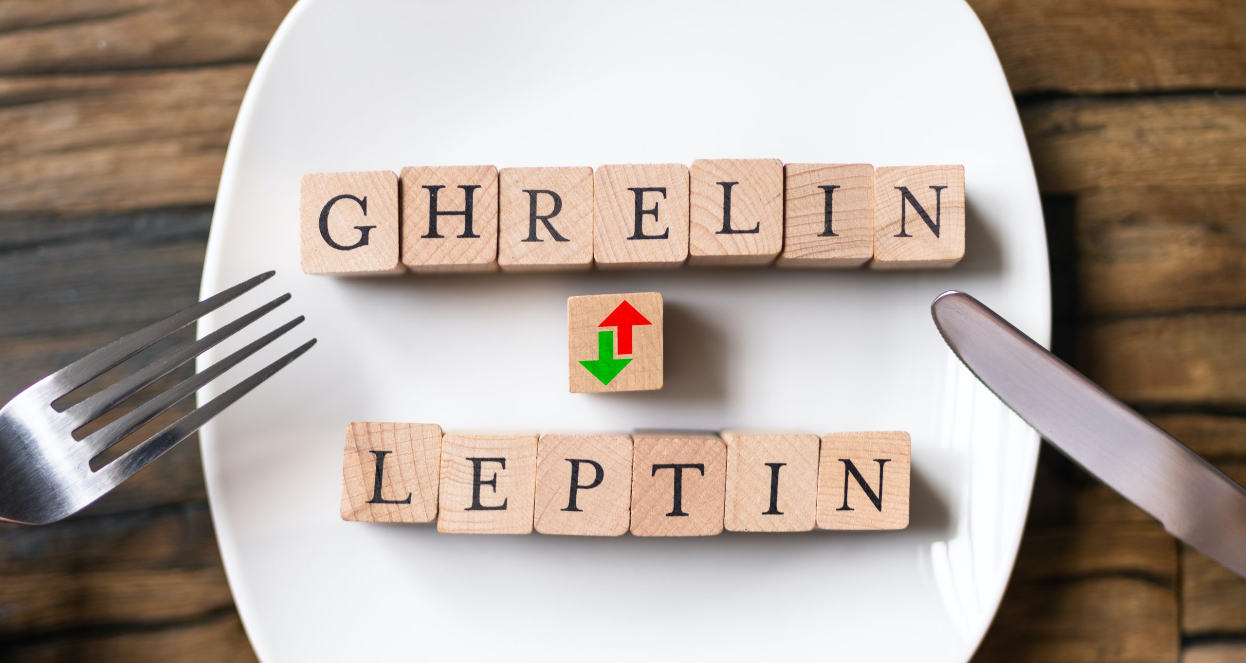 leptin & ghrelin