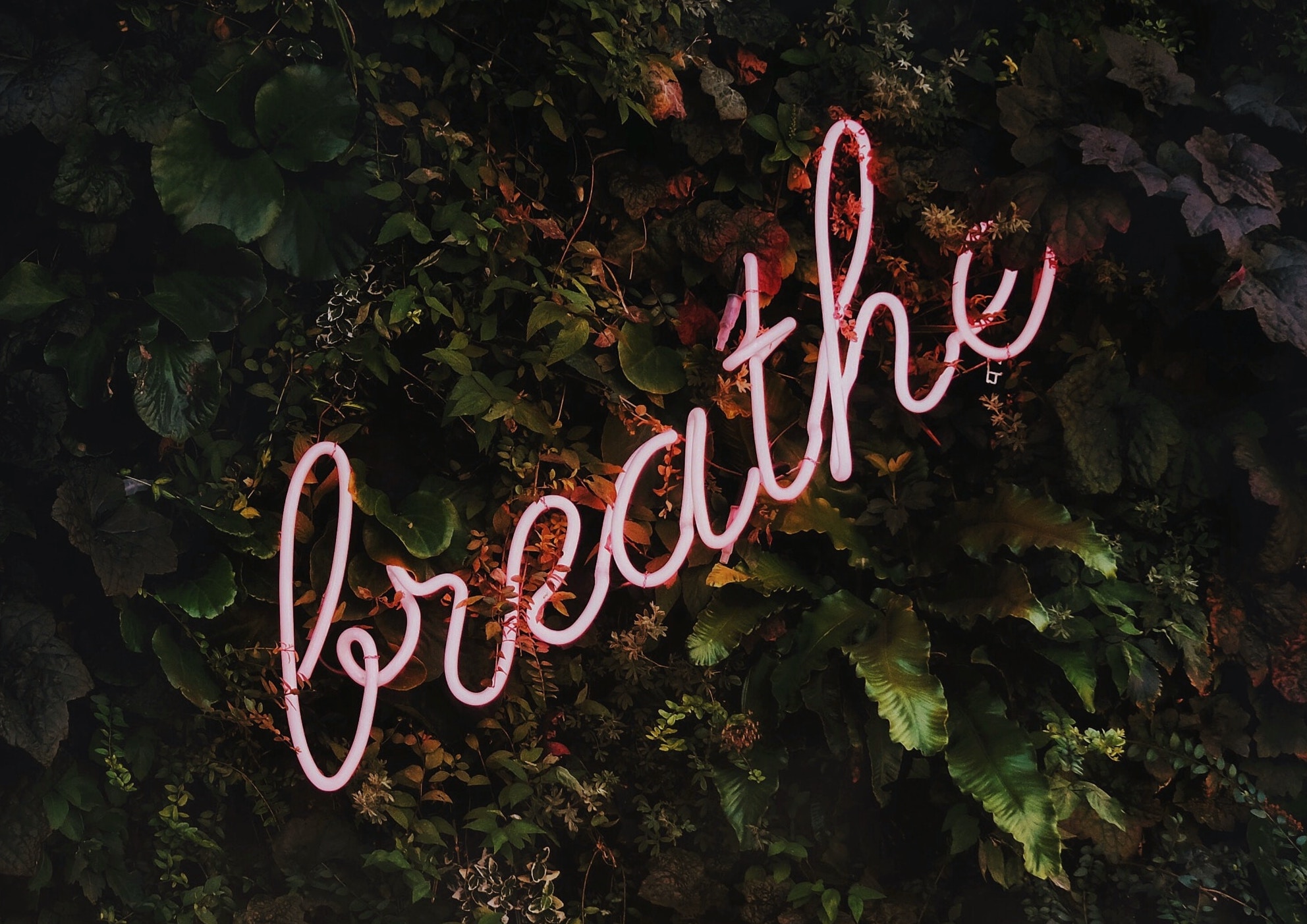 mastering the art of breathing a crucial element in weightlifting