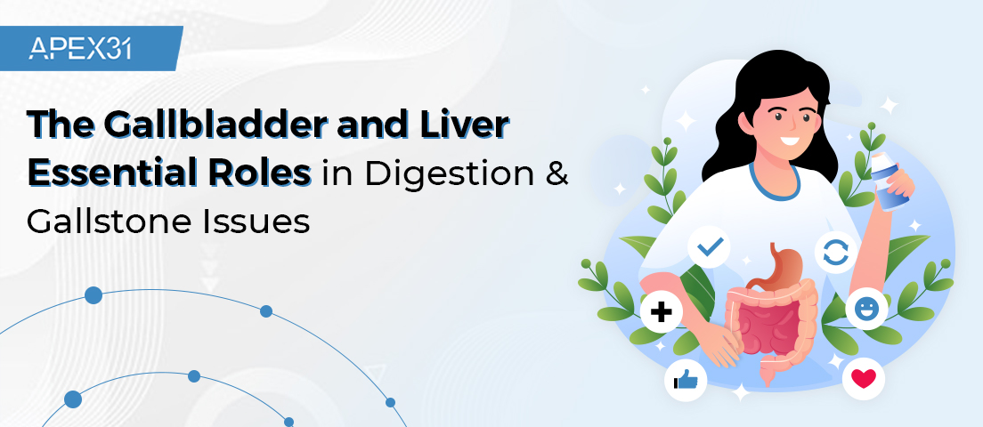 the gallbladder and liver essential roles in digestion & gallstone issues