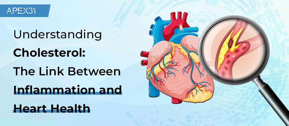 Understanding Cholesterol: The Link Between Inflammation and Heart Health