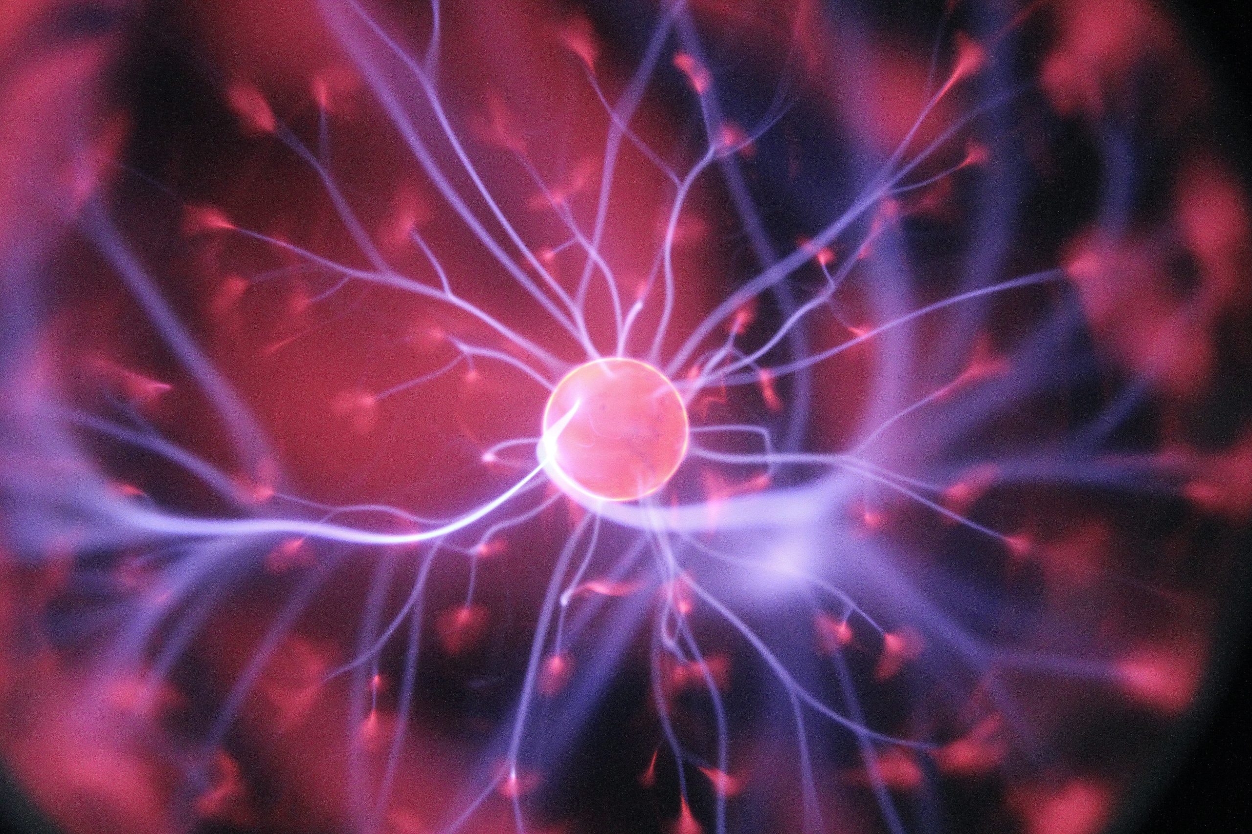 unveiling the brain's battlefield