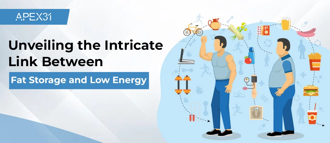 Unveiling the Intricate Link Between Fat Storage and Low Energy
