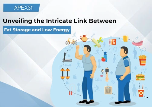 Unveiling the Intricate Link