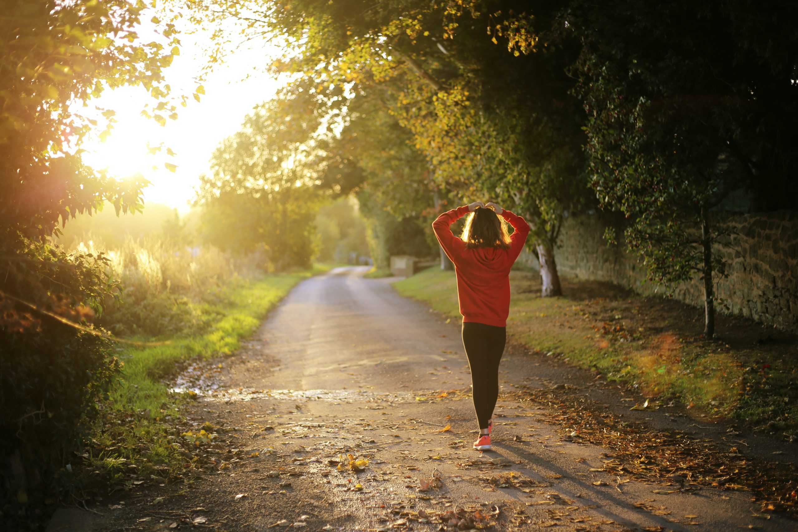 your body’s ph & the apex31 day program